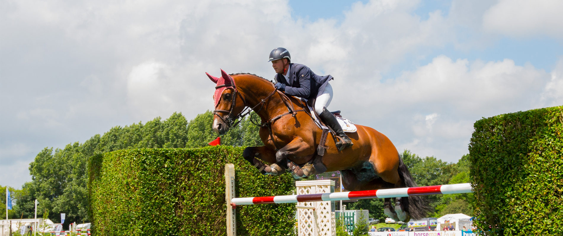 Aukland Equestrian